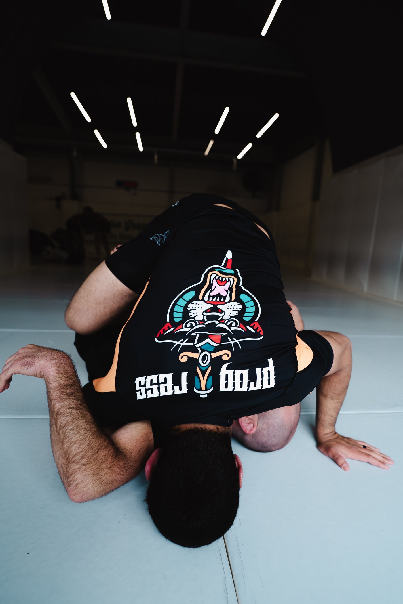 What makes Progress rashguards so special?