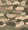 Progress Essential Backpack 25 - Camo