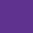 Ranked Rashguard 2025 - Purple