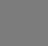 Vale Tudo Shorts - Grey