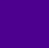 Checkmat Ranked Rashguard Purple